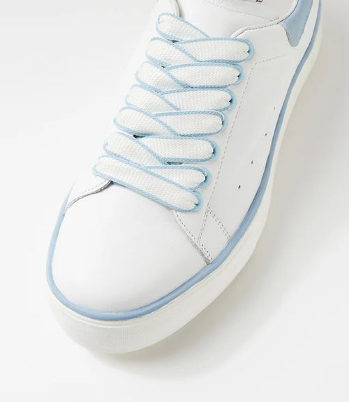 Django & Juliette - FALIT Sneaker White-Blue
