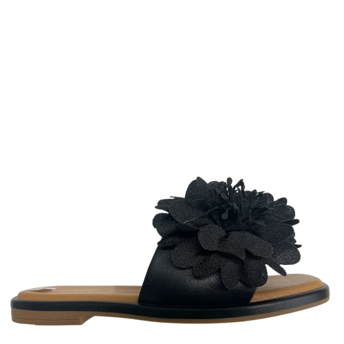 Los Cabos - Lyla in Black