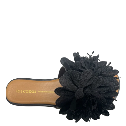 Los Cabos - Lyla in Black