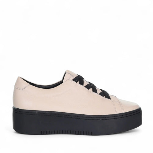 MINX - TRINA Sneaker - Almond/Black